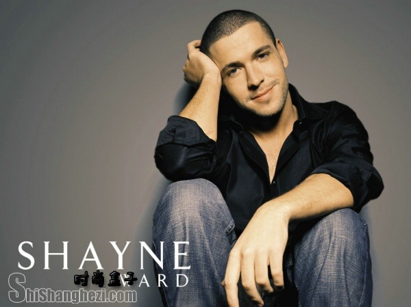 shayne ward - FoolishͼƬ 142565