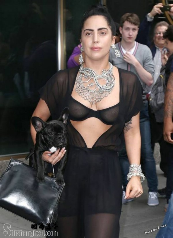 Lady Gaga͸װ¶鱧ͼƬ 183411