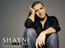 shayne ward - Foolish